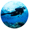 la-plongée-sous-marine